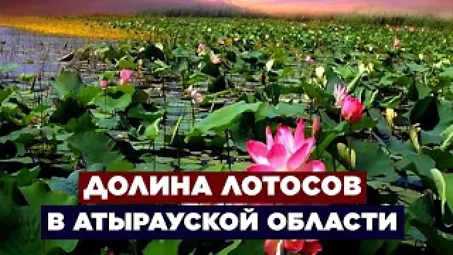 Новости. Выпуск от 16.08.2023 г.